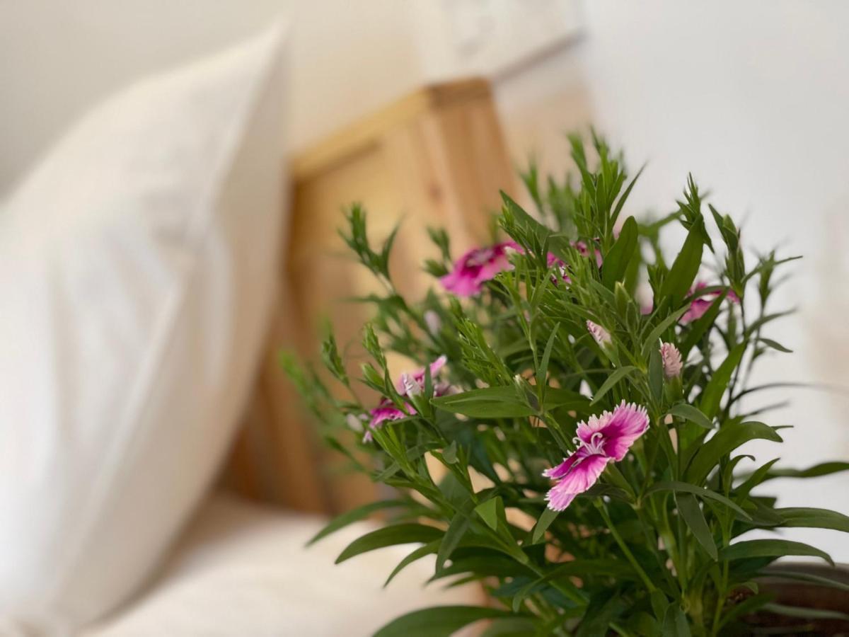 Pleiku Homestay Εξωτερικό φωτογραφία