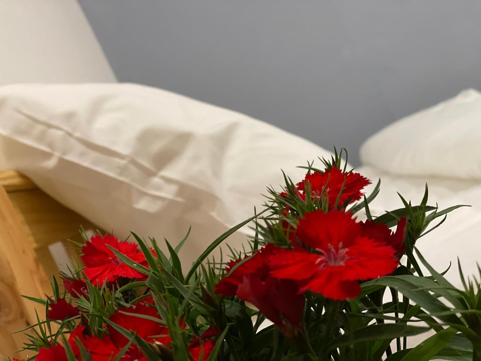 Pleiku Homestay Δωμάτιο φωτογραφία